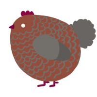 A russet and grey chicken with a lace pattern