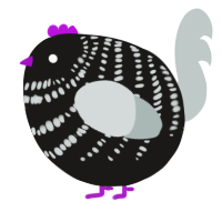A sable and silver chicken with a bar pattern