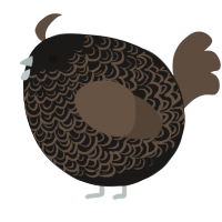 A sable and bark chicken with a double-lace pattern
