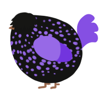 A black and blurple chicken with a speckle pattern