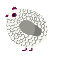 A white and ash chicken with a lace pattern