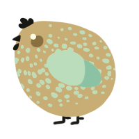 A orange and aqua chicken with a speckle pattern