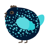 A tumblr and aqua chicken with a speckle pattern