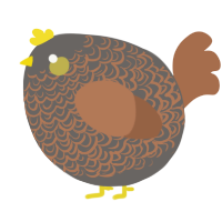 A grey and brown chicken with a double-lace pattern