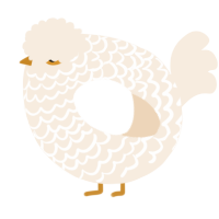 A cream chicken with a lace pattern