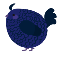 A navy and tumblr chicken with a lace pattern