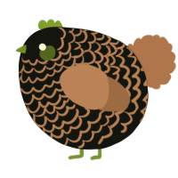 A black and brown chicken with a lace pattern