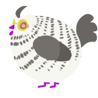 A white and grey chicken with a bar pattern
