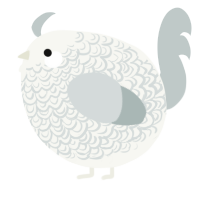 A white and silver chicken with a double-lace pattern