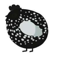 A black and silver chicken with a speckle pattern