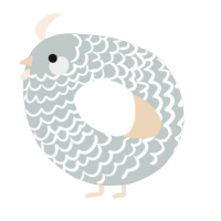 A silver and cream chicken with a lace pattern