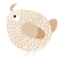 A cream and beige chicken with a lace pattern