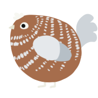 A brown and mist chicken with a bar pattern