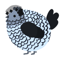 A apple and sable chicken with a lace pattern