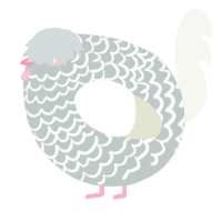 A silver and white chicken with a lace pattern