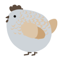 A mist and beige chicken with a half-lace pattern