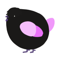 A sable and lavender chicken