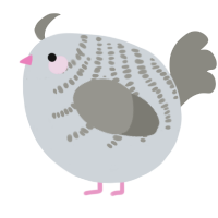 A mist and ash chicken with a half-bar pattern