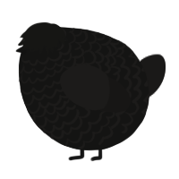 A black and sable chicken with a lace pattern