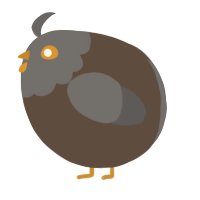 A bark and grey chicken with a head pattern
