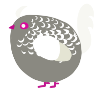 A ash and white chicken with a half-lace pattern
