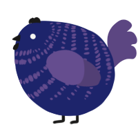 A navy and overcast chicken with a bar pattern