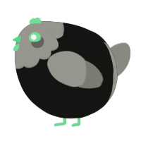 A black and ash chicken with a head pattern