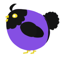A blurple and black chicken with a head pattern