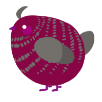 A maroon and grey chicken with a bar pattern