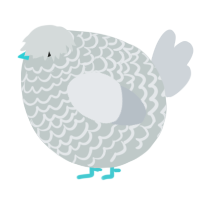 A silver and mist chicken with a lace pattern