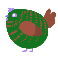 A leaf and russet chicken with a bar pattern