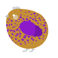 A gold and violet chicken with a speckle pattern