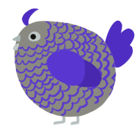 A ash and indigo chicken with a lace pattern