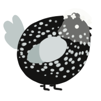 A black and silver chicken with a speckle pattern