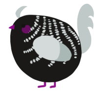 A sable and silver chicken with a half-bar pattern