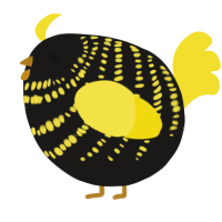 A sable and yellow chicken with a bar pattern
