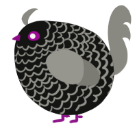 A black and ash chicken with a lace pattern