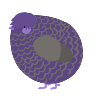 A overcast and grey chicken with a lace pattern