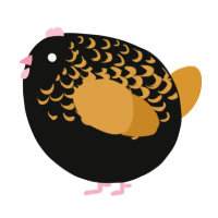 A black and orange chicken with a half-lace pattern