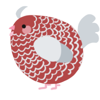 A red and mist chicken with a lace pattern