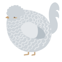 A mist chicken with a lace pattern