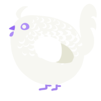 A white chicken with a half-lace pattern