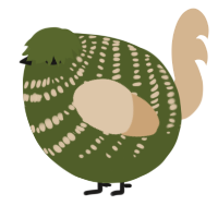 A olive and beige chicken with a bar pattern