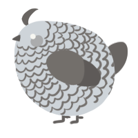 A mist and grey chicken with a lace pattern