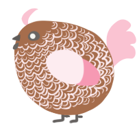 A brown and rose chicken with a double-lace pattern