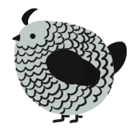 A silver and black chicken with a lace pattern