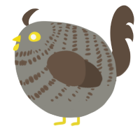 A ash and bark chicken with a bar pattern