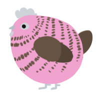 A pink and bark chicken with a bar pattern