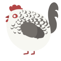 A white and grey chicken with a half-lace pattern
