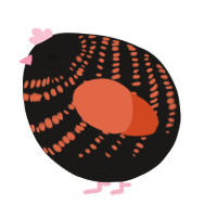 A sable and vermilion chicken with a bar pattern